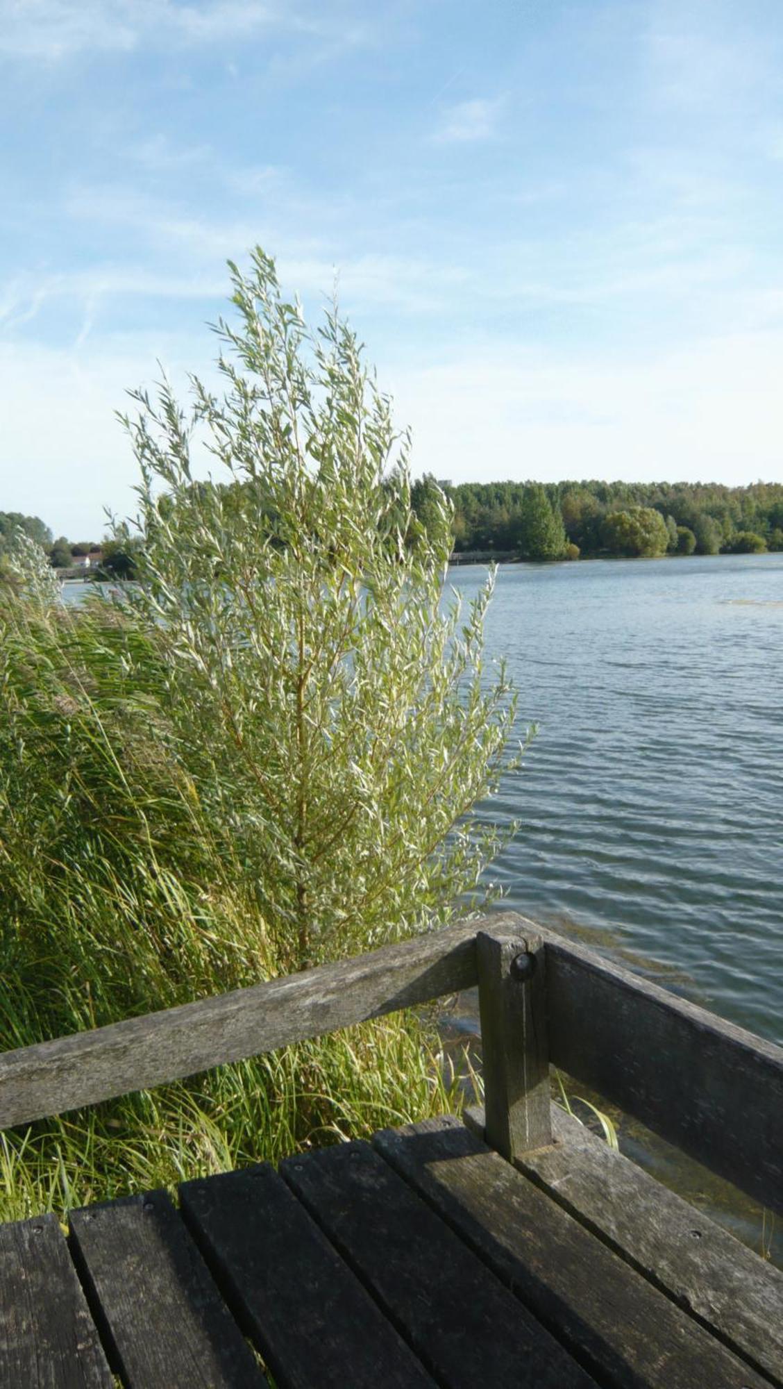 Beau Rivage Hotel Nogent-sur-Seine Bagian luar foto