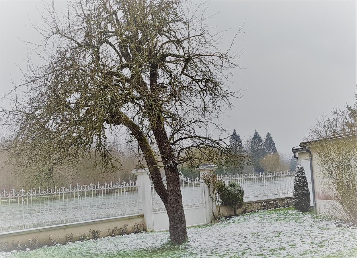 Beau Rivage Hotel Nogent-sur-Seine Bagian luar foto